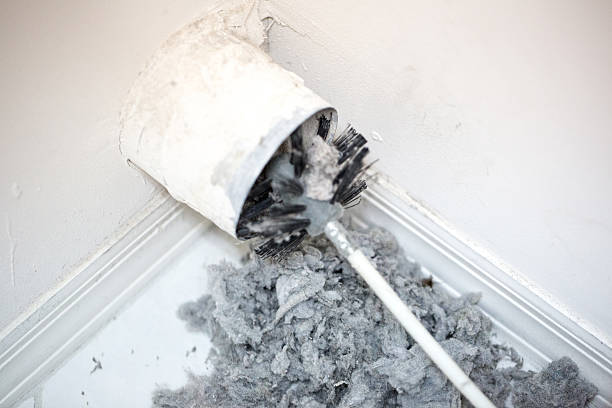 Best Local Air Duct Cleaning Services  in Pigeon Forge, TN